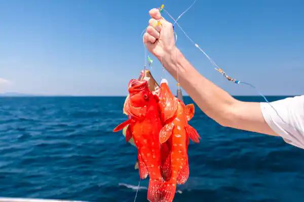 Эксклюзивная рыбалка на Пхукете: крабовые ловушки и подводная охота